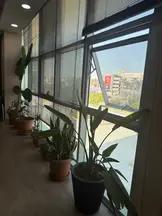 Av. Ahmet Alkan profil fotoğrafı 122 - Antalya