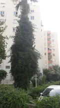 Avukat Ömer Efe hukuk bürosu fotoğrafı 7 - Muratpaşa, Antalya