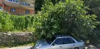 Av. Ceren Maytalman profil fotoğrafı - Zonguldak, Zonguldak