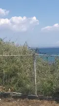 Akiş Hukuk Danışmanlık hukuk bürosu fotoğrafı 25 - Muratpaşa, Antalya