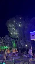 Akiş Hukuk Danışmanlık hukuk bürosu fotoğrafı 8 - Muratpaşa, Antalya