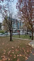 Av. Muhammed Erdoğanoğlu profil fotoğrafı 2 - Batman, Batman