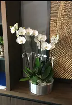 Av. Pınar Yılmaz Büyükurgancı profil fotoğrafı 12 - Muratpaşa, Antalya