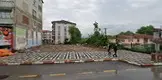 Av. Halit Öztamur & Yeşim Kapucu Öztamur fotoğrafı - Bartın, Bartın