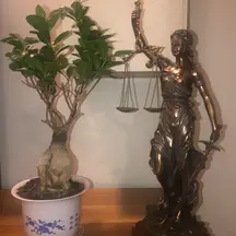 A&S Hukuk Ve Danışmanlık Ofisi hukuk bürosu fotoğrafı 45 - Yalova, Yalova