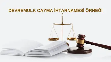 A&S Hukuk Ve Danışmanlık Ofisi hukuk bürosu fotoğrafı 49 - Yalova, Yalova