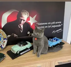BG Hukuk Bürosu / Av. Burak Sakıp Gökçöl hukuk bürosu fotoğrafı 9 - Fethiye, Muğla