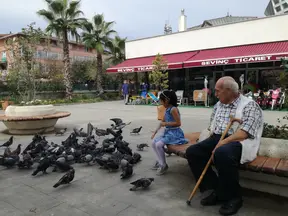 Av. Behçet Alkan Lokum profil fotoğrafı 12 - Akçakoca, Düzce