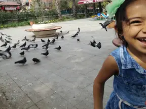 Av. Behçet Alkan Lokum profil fotoğrafı 10 - Akçakoca, Düzce