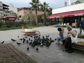 Av. Behçet Alkan Lokum profil fotoğrafı 17 - Akçakoca, Düzce