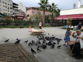 Av. Behçet Alkan Lokum profil fotoğrafı - Akçakoca, Düzce