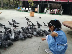 Av. Behçet Alkan Lokum profil fotoğrafı 21 - Akçakoca, Düzce