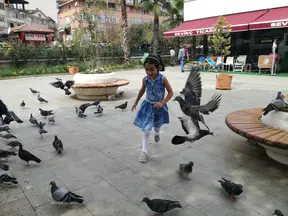 Av. Behçet Alkan Lokum profil fotoğrafı 9 - Akçakoca, Düzce