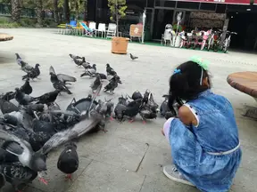Av. Behçet Alkan Lokum profil fotoğrafı 4 - Akçakoca, Düzce