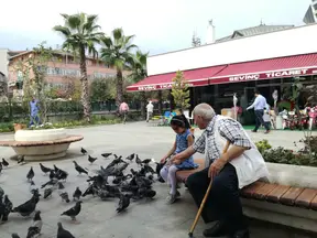 Av. Behçet Alkan Lokum profil fotoğrafı 15 - Akçakoca, Düzce