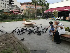 Av. Behçet Alkan Lokum profil fotoğrafı 18 - Akçakoca, Düzce