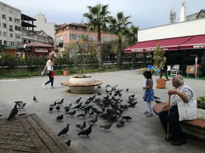 Av. Behçet Alkan Lokum profil fotoğrafı 19 - Akçakoca, Düzce
