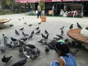 Av. Behçet Alkan Lokum profil fotoğrafı 8 - Akçakoca, Düzce