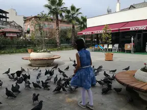 Av. Behçet Alkan Lokum profil fotoğrafı 14 - Akçakoca, Düzce