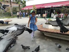 Av. Behçet Alkan Lokum profil fotoğrafı 2 - Akçakoca, Düzce