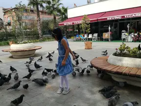 Av. Behçet Alkan Lokum profil fotoğrafı 5 - Akçakoca, Düzce