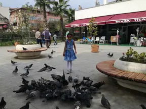 Av. Behçet Alkan Lokum profil fotoğrafı 16 - Akçakoca, Düzce