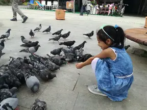 Av. Behçet Alkan Lokum profil fotoğrafı 11 - Akçakoca, Düzce
