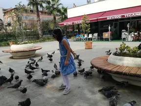 Av. Behçet Alkan Lokum profil fotoğrafı 20 - Akçakoca, Düzce