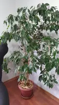 Tan Hukuk & Danışmanlık hukuk bürosu fotoğrafı 203 - Çankaya, Ankara