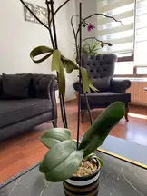 Tan Hukuk & Danışmanlık hukuk bürosu fotoğrafı 182 - Çankaya, Ankara