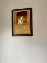 Tan Hukuk & Danışmanlık hukuk bürosu fotoğrafı 113 - Çankaya, Ankara