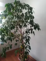 Tan Hukuk & Danışmanlık hukuk bürosu fotoğrafı 207 - Çankaya, Ankara