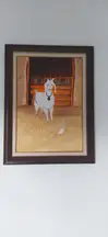 Tan Hukuk & Danışmanlık hukuk bürosu fotoğrafı 231 - Çankaya, Ankara