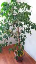 Tan Hukuk & Danışmanlık hukuk bürosu fotoğrafı 199 - Çankaya, Ankara