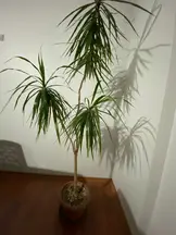 Tan Hukuk & Danışmanlık hukuk bürosu fotoğrafı 223 - Çankaya, Ankara