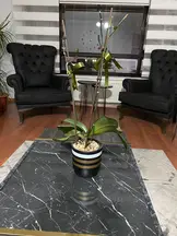 Tan Hukuk & Danışmanlık hukuk bürosu fotoğrafı 16 - Çankaya, Ankara