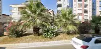 Kytd Avukatlık Bürosu hukuk bürosu fotoğrafı - İlkadım, Samsun