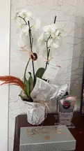 Av. Didem Tayyipoğlu profil fotoğrafı 28 - Seyhan, Adana