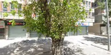 Av. İsmail Akkaya profil fotoğrafı 4 - Çankaya, Ankara