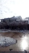Av. Kübra Yildiz Çolak profil fotoğrafı 30 - Altındağ, Ankara