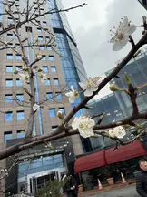Av. Derya Çamoğlu profil fotoğrafı 44 - Esenler, İstanbul