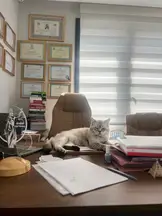 Gül Hukuk ve Danışmanlık Bürosu hukuk bürosu fotoğrafı 32 - Bakırköy, İstanbul