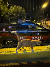 Gül Hukuk ve Danışmanlık Bürosu hukuk bürosu fotoğrafı 215 - Bakırköy, İstanbul