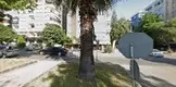 Av. Bilgenur Fidan fotoğrafı - İlkadım, Samsun