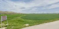 Av. Ercan Yıldırım profil fotoğrafı - Kovancılar, Elazığ