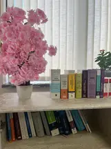Serez Hukuk Bürosu hukuk bürosu fotoğrafı 6 - Tekirdağ, Tekirdağ
