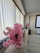 Serez Hukuk Bürosu hukuk bürosu fotoğrafı 19 - Tekirdağ, Tekirdağ