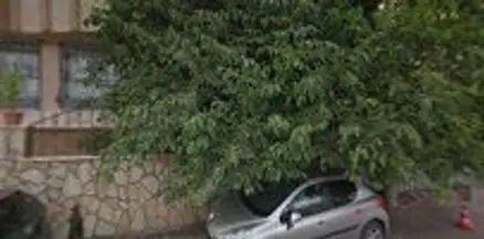 Av. Dilan Tutal profil fotoğrafı 10 - Adıyaman, Adıyaman