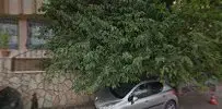 Av. Elif Eskici Taşci profil fotoğrafı - Adıyaman, Adıyaman