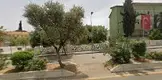 Av. Servet Zümbül fotoğrafı - Karacasu, Aydın